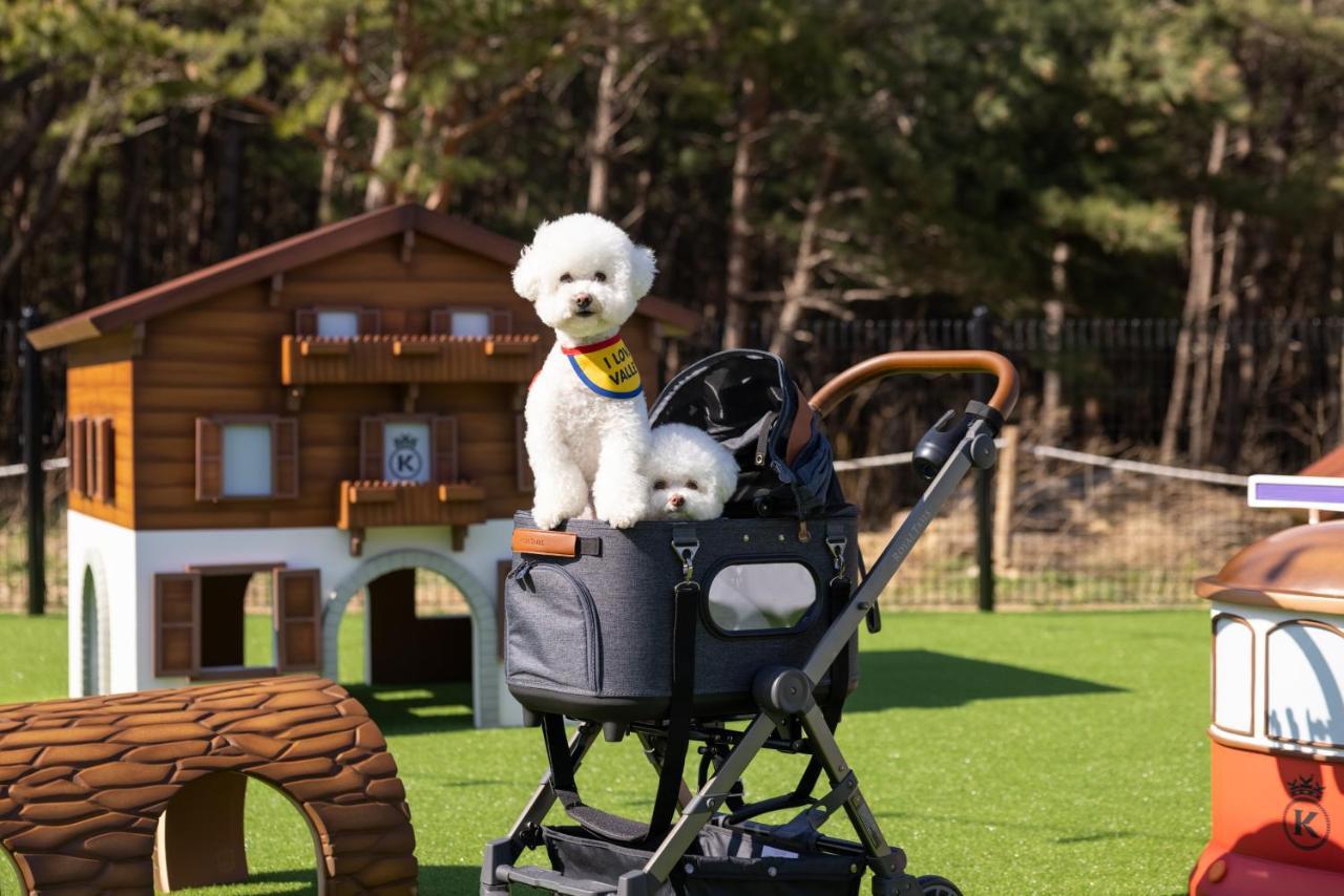 Kensington Resort Seorak Valley Szokcsho Kültér fotó