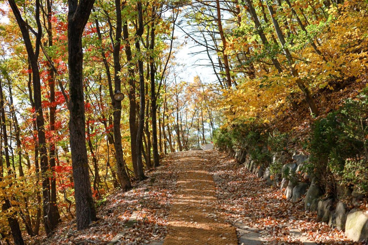 Kensington Resort Seorak Valley Szokcsho Kültér fotó